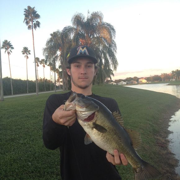 Profile Picture of Anthony Maniotis (@anthonymaniotis) on Poshmark