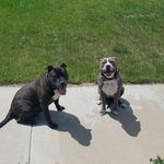 Profile Picture of Michael Bellamy (@michael.bellamy.5015) on Instagram