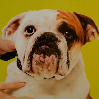 Profile Picture of Jeff Greaser (@Jeffert1221) on Twitter