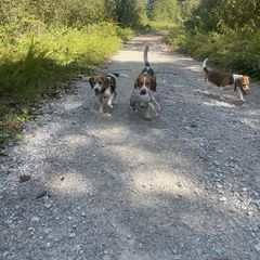 Profile Picture of Caleb Turner (@caleb.turner39) on Tiktok