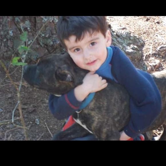 Profile Picture of Robert Mumper (@robertmumper) on Poshmark