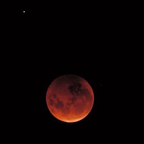 Profile Picture of Chloe Kim (@kooreum109) on Pinterest