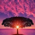 Profile Picture of Meghan Marie Cogdill (@meghancogdill) on Instagram