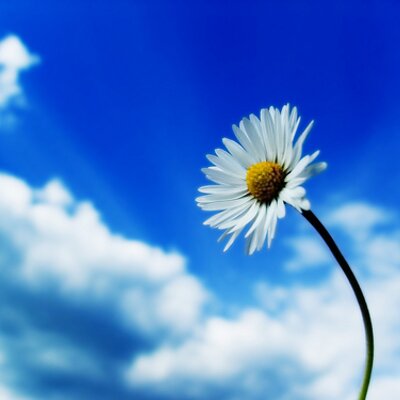 Profile Picture of Michelle Potts (@ShelleyPotts1) on Twitter