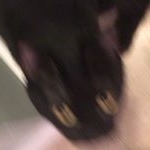 Profile Picture of 裸男 (@nakedbobby) on Instagram