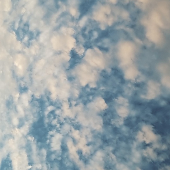 Profile Picture of Mikenna Leithren (@mikenna161) on Poshmark