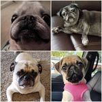 Profile Picture of Kevin Moats (@moats.kevin) on Instagram