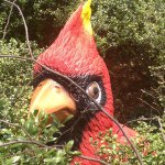 Profile Picture of David Biddle (@docdavebiddle) on Instagram