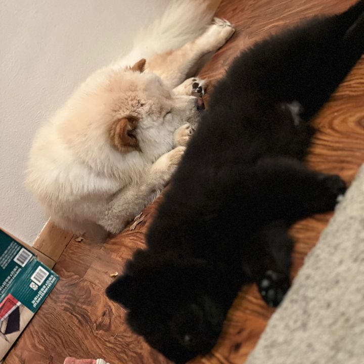 Profile Picture of TanyaHuffman (@tanyahuffman75) on Tiktok