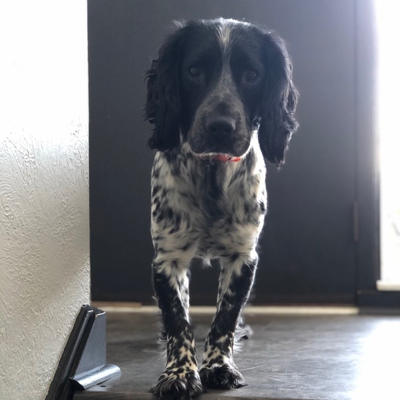 Jesse Leezer - Poshmark Profile Picture of Jesse Leezer (@lee5912) on Poshmark