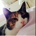 Profile Picture of Abby Conroy (@abbyconroy48) on Pinterest
