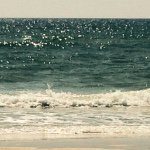 Profile Picture of Jerry Ellis (@jerry_ell) on Instagram