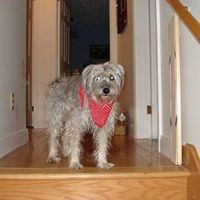 Profile Picture of Maureen Michaud (@maureen-michaud-1) on Quora