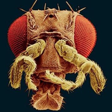 Profile Picture of Michael Stadler (@michaelrstadler) on Twitter