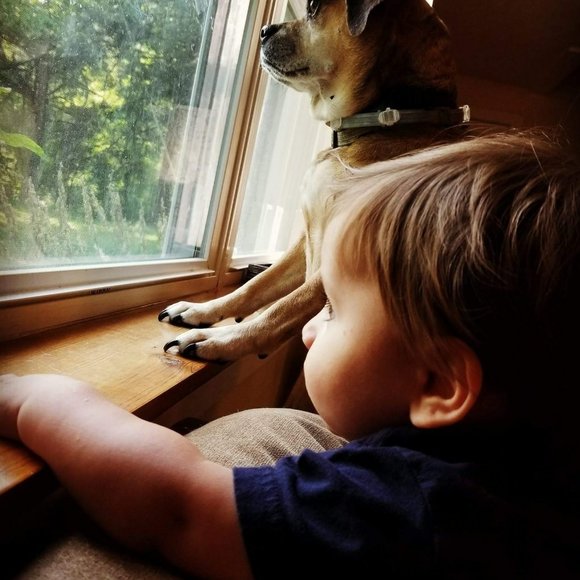 Profile Picture of Sherry Tocci (@sherrytocci) on Poshmark