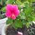 Profile Picture of Mary Sutcliffe (@mary.sutcliffe.585) on Facebook
