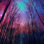 Profile Picture of Brittney Chase Binkley (@bcbinkley) on Instagram