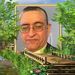 Profile Picture of Fidel Alvarez (@fidelalvarez384) on Pinterest