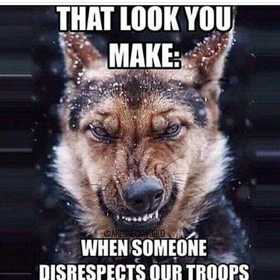 Steve Sheard - Twitter Profile Picture of Steve Sheard (@SteveSheard6) on Twitter