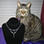 Profile Picture of Diana Rauckman (@Handmade by Diana) on Flickr