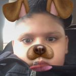 Profile Picture of Stevenmontesdeoca (@stevenmontesdeoca9435) on Instagram