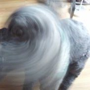 Profile Picture of Andrew Karpie (@akarpie) on Myspace