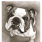 Brandon plummer - Instagram Profile Picture of Brandon plummer (@bulldogbrandon69) on Instagram