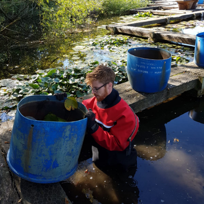 Profile Picture of Ben Jones (@TheHortDoctor) on Twitter