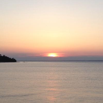 Profile Picture of Ndnddnnd (@joe_the_loner) on Twitter