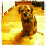 Profile Picture of Patrick (@patrickmcquillen) on Instagram