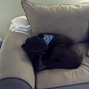 Profile Picture of Seth Tooley (@sethtooley4230) on Youtube