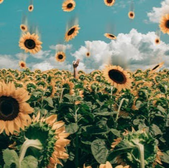 Profile Picture of James Grace (@jjames_grace) on Poshmark