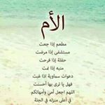 Adam Bosse - Instagram Profile Picture of Adam Bosse (@adam.bosse.969) on Instagram