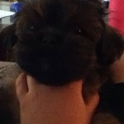 Profile Picture of Alexander Vance (@love1ordie) on Twitter