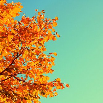 Profile Picture of Shalin Shah (@TheIndianShah) on Twitter