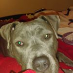 Profile Picture of Angela Jean olinger (@angelajeanolinger) on Instagram