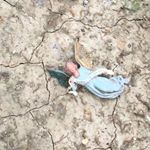 Profile Picture of Samir Guesmi (@samguesmi) on Instagram