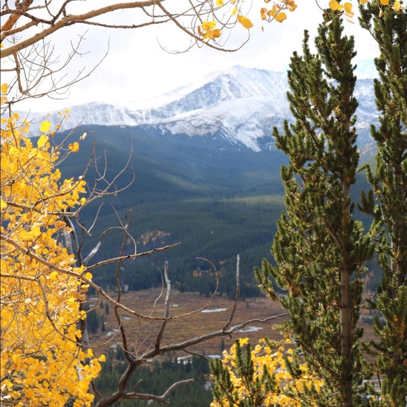 Profile Picture of Amelia Tanner (@ameliatanner92) on Poshmark