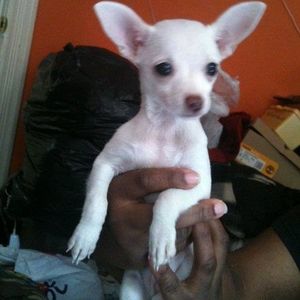 Profile Picture of Marie Jenkins (@mariejenkins90) on Myspace
