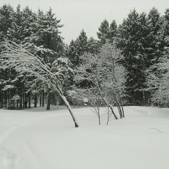 Brainne J - Poshmark Profile Picture of Brainne J (@bonnersue) on Poshmark