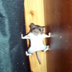 Profile Picture of Uriel David (@uriel.david.346173) on Facebook