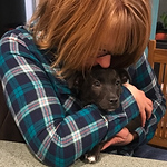 Profile Picture of Diane Zambito (@dianezambito) on Flickr