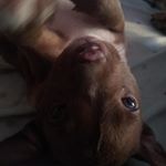 Profile Picture of Gabriel Rebaza (@rebazagabriel) on Instagram