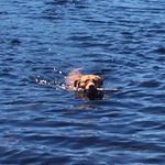 Profile Picture of Cindy Martin MacDonald (@cindy_martin_macdonald) on Instagram