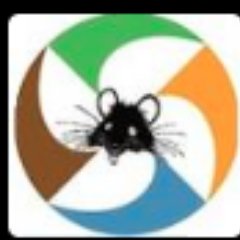 Profile Picture of Jeffrey Ault (@JeffAultOffical) on Twitter