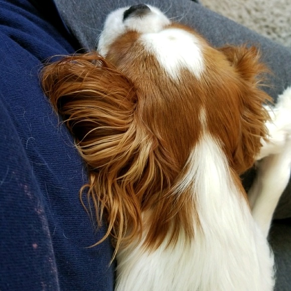 Profile Picture of Cheryl Dailey (@cdaylee19) on Poshmark