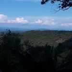 Profile Picture of Johan Paz (@paz.johan) on Instagram