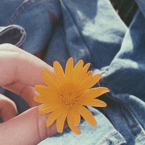 Profile Picture of Isabelle Saez (@isabelle654211) on Poshmark