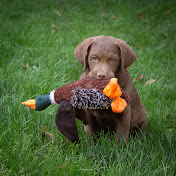 Profile Picture of Grant Yary (@grantyary-f4o) on Youtube