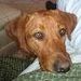 Profile Picture of William Dickinson (@holcombcontracting) on Pinterest